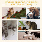 Schema su katėmis, naudojančiomis katės medį