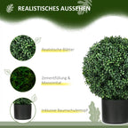 Bukmedžio informacinė grafika apie realistišką išvaizdą