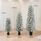 Kalėdinių eglučių komplektas su LED, 3 vnt., apsnigtas, 90, 120 ir 150 cm