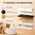 Schema, vaizduojanti keturių sluoksnių filtravimo sistemą fontano viduje