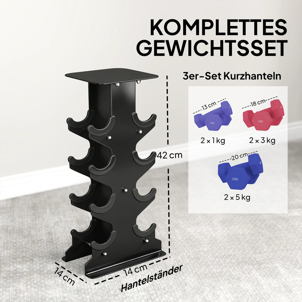 Kurzhantelių rinkinys 3 poros su stovu metalas plastikinis 1-5 kg