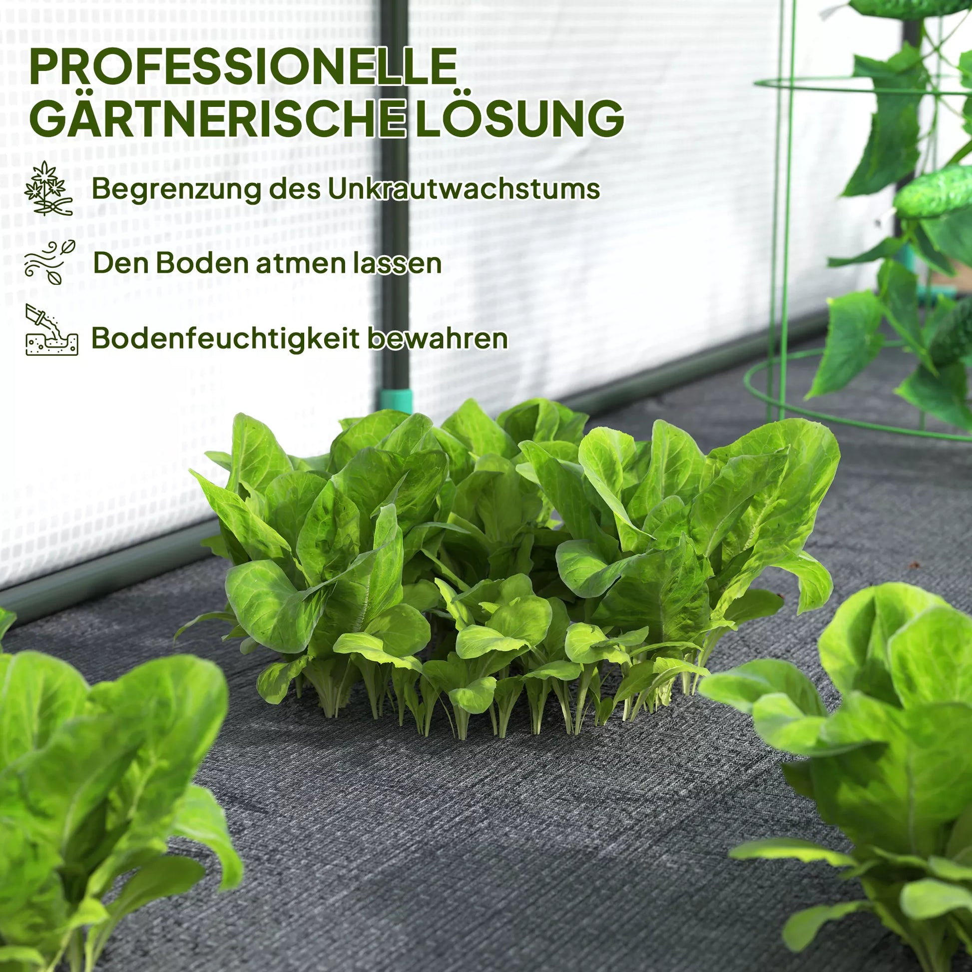 Sieninis šiltnamis, prieinamas augalų namelis, plastikinė danga, 300 x 80 x 157 cm, baltas