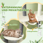 Informacinė grafika apie draskyklės hamakus su kate