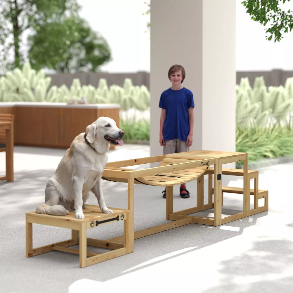 Agility rinkinys šunims, šunų treniruočių konstrukcija su tiltu, laiptais, platforma, pušies mediena, dideliems šunims iki 40 kg