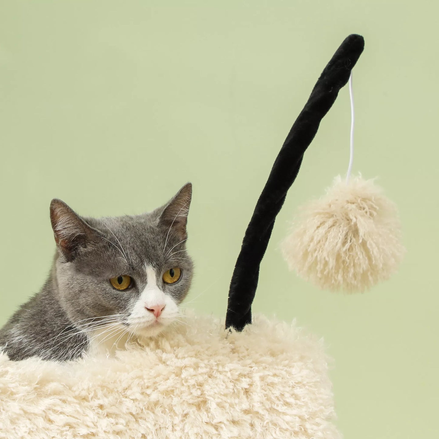 Katės medis avies dizaino, su draskykle, tuneliu ir žaislu, 98 cm, šviesiai rudas