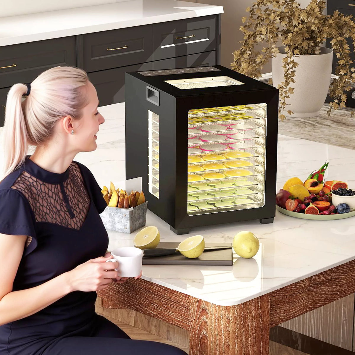 Maisto džiovyklė, 850 W, 40–70 °C, 48 val. laikmatis, 12 nerūdijančio plieno padėklų, juoda