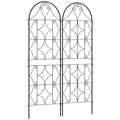 Metalinės grotelės vijokliniams augalams 50x150 cm juodos (2 vnt.)