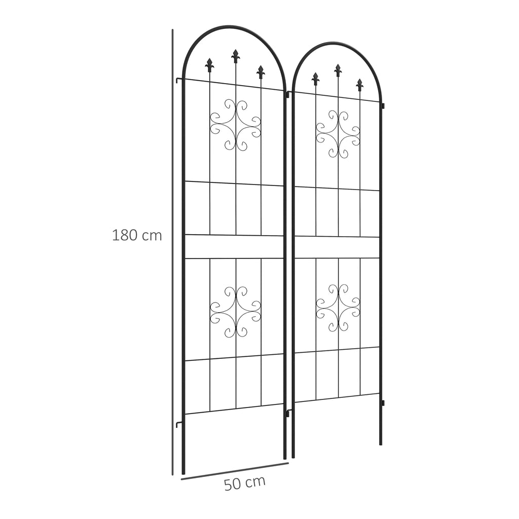 Metalinis atramų grotelės augalams 2 vnt. 180x50 cm juodos