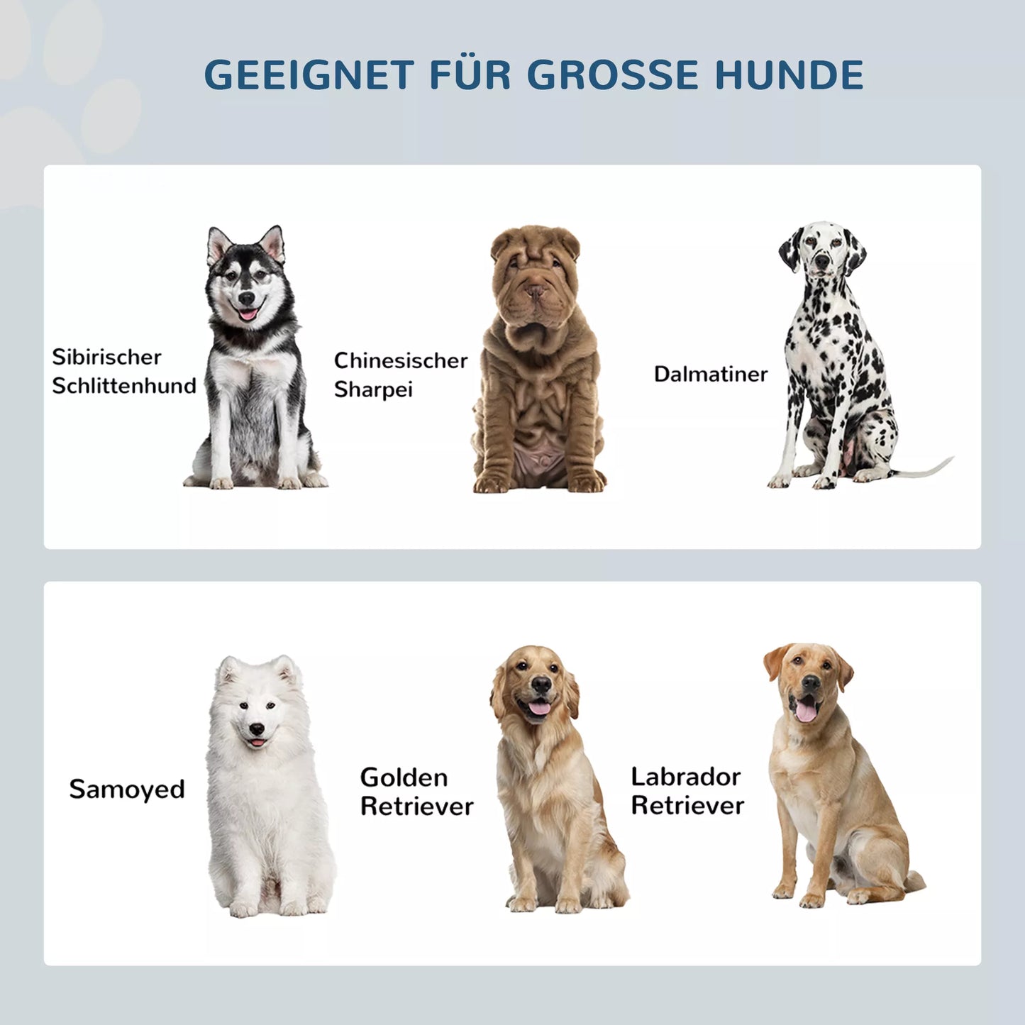 Paaukštinta šėrykla su 2 nerūdijančio plieno dubenėliais ir 44 L laikymo vieta, magnetinės durelės, dideliems šunims, pilka