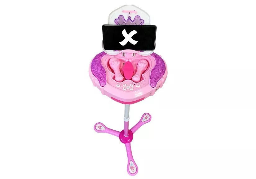 Muzikinis žaislas mikrofonas su stovu Happy Girls Music Box, 3+