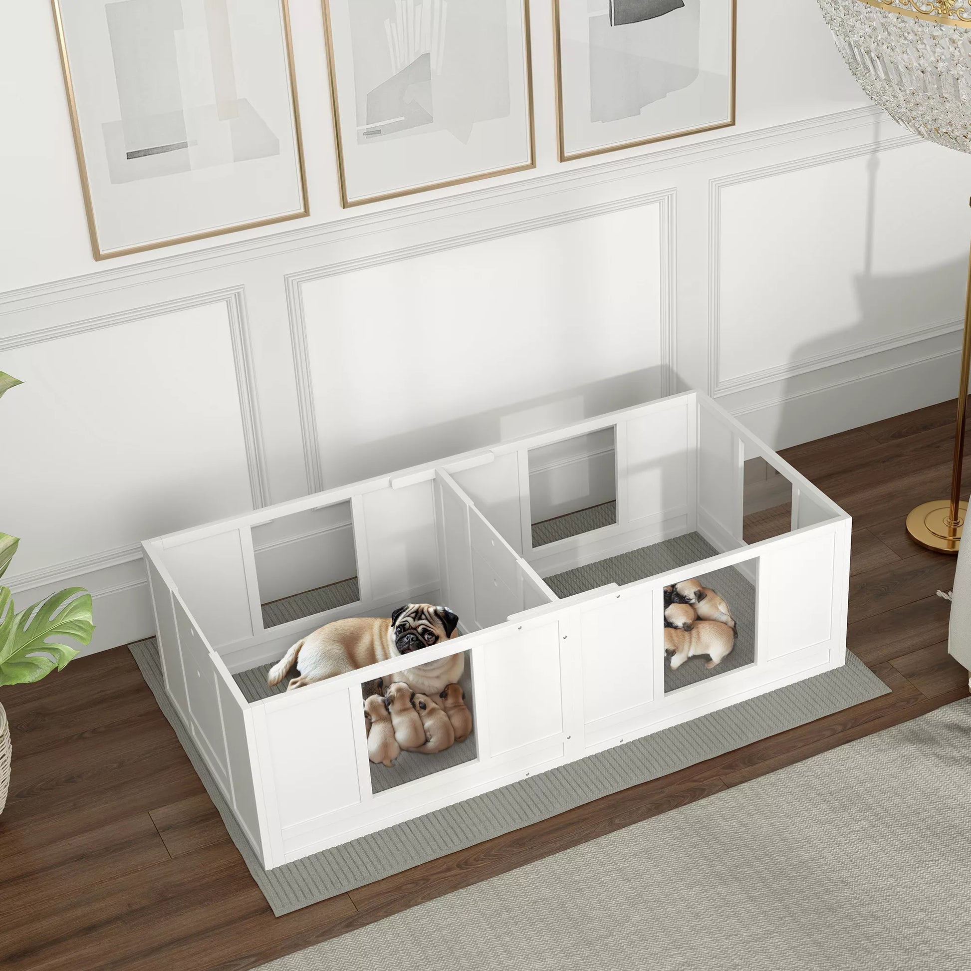 Šuniukų aptvaras šunims, su permatomomis panelėmis, 2 skyrių dizainas, mažiesiems šunims