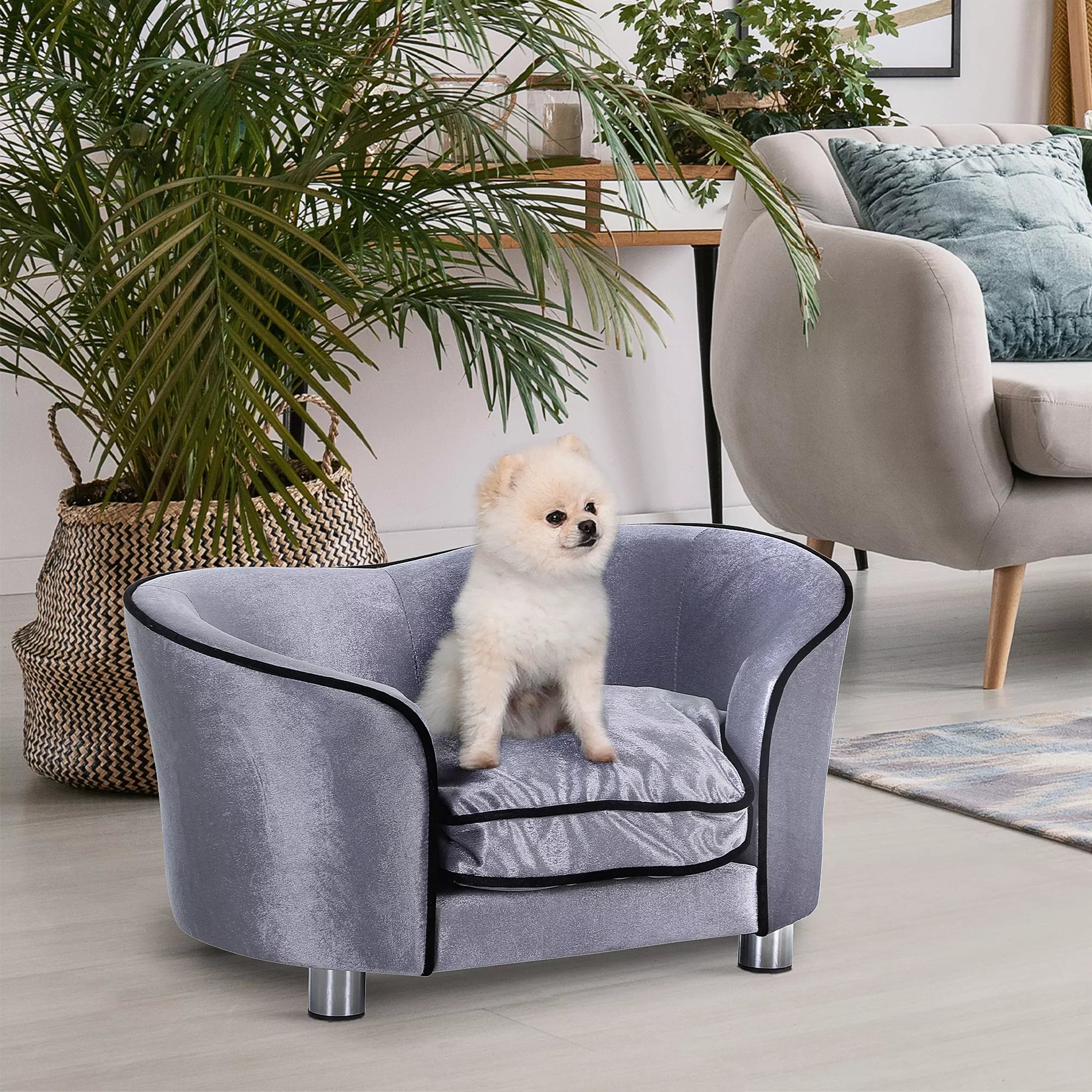 Šunų sofa, šunų lovelė, plaunamas sėdimoji pagalvėlė, pliušinis užvalkalas, natūralaus medžio rėmas, šviesiai pilkos spalvos, 69 x 49 x 38 cm