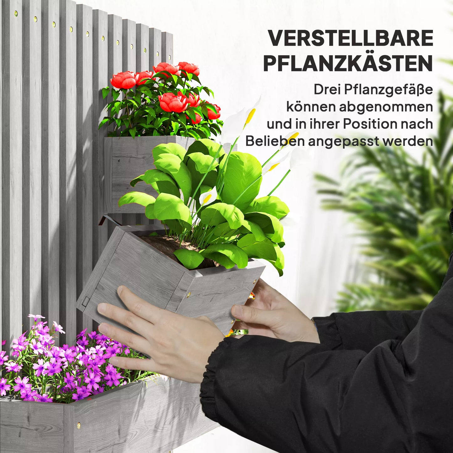 Gėlių dėžės rinkinys, montuojamas ant sienos, laisvai perkeliamas, masyvi mediena, 60 x 16 x 80 cm