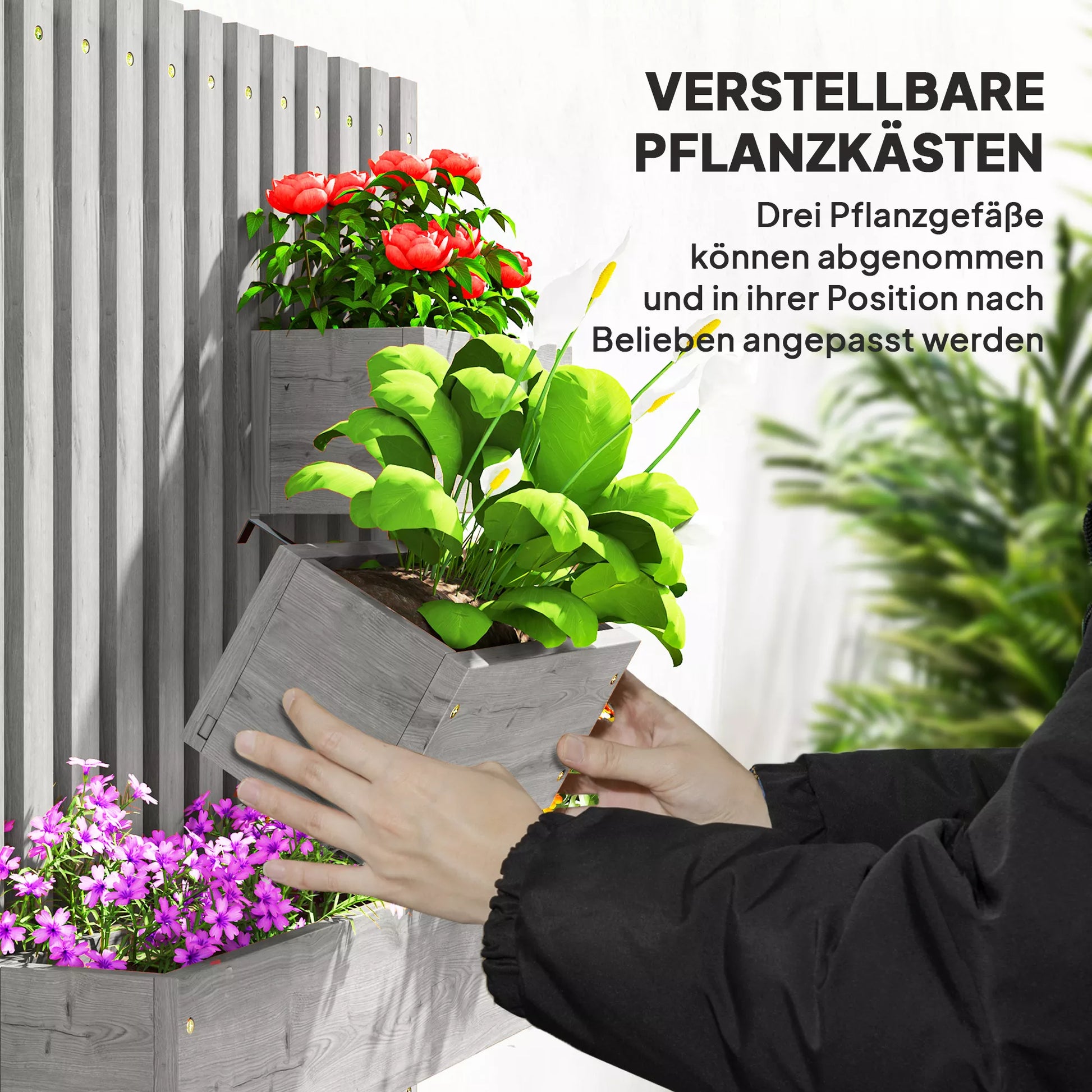 Gėlių dėžės rinkinys, montuojamas ant sienos, laisvai perkeliamas, masyvi mediena, 60 x 16 x 80 cm