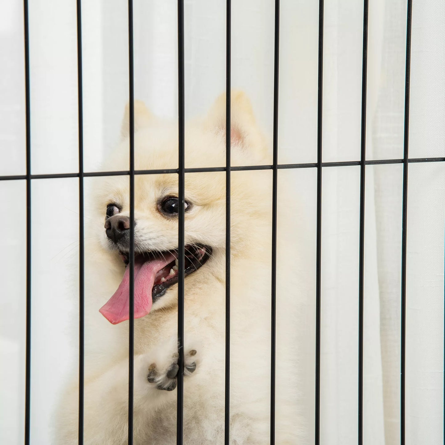 Mediniai apsauginiai varteliai šunims, sulankstomi, plieniniai, balti, 305 x 35,5 x 82 cm