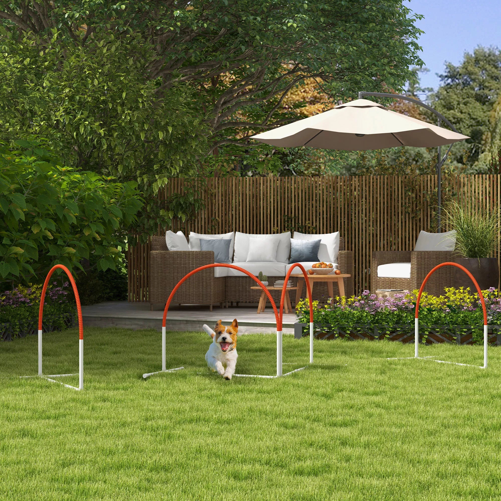 Agility rinkinys šunims, 4 dalių, su krepšiu, 89x69x99 cm, baltas–oranžinis