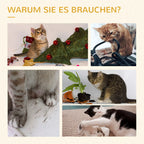 Koliažas su katėmis ir užrašu apie naudą