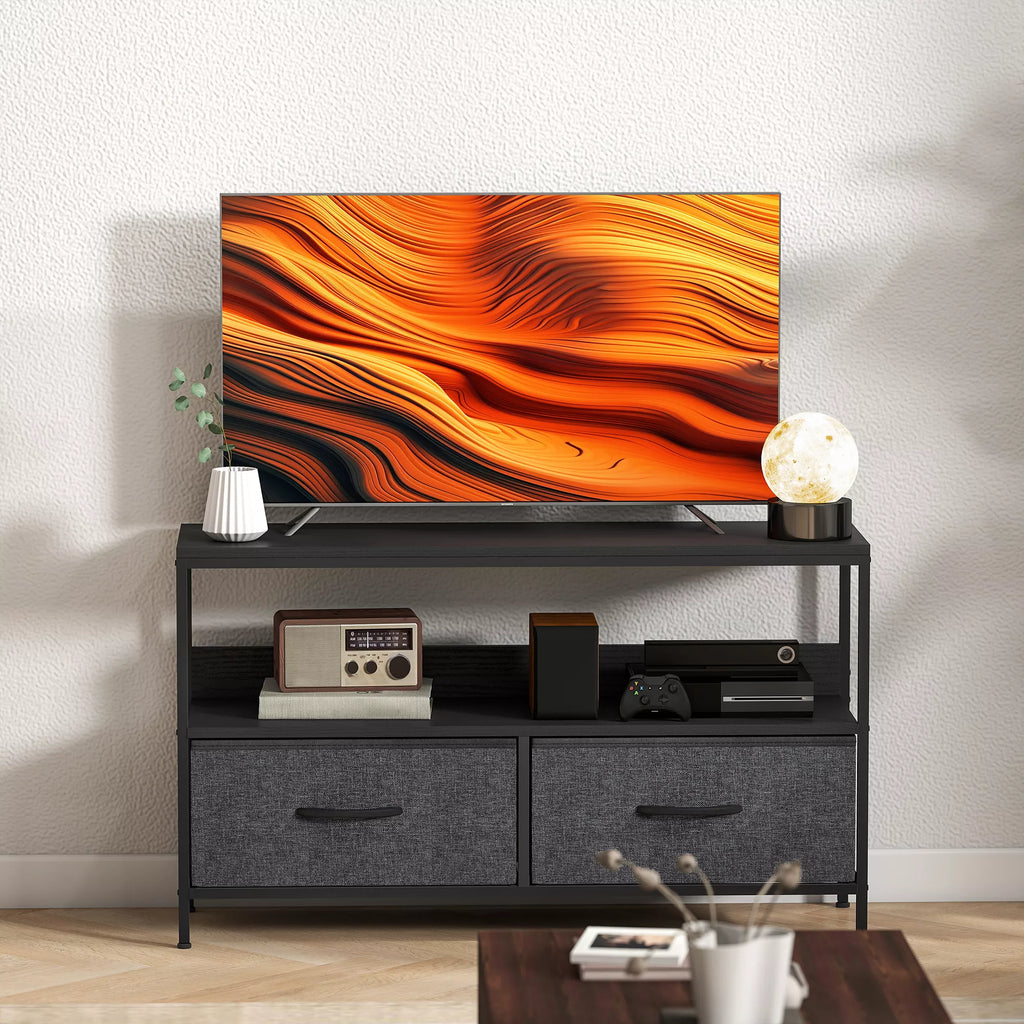 TV staliukas su 2 stalčiais, atviru skyriumi, televizoriams iki 47 colių, 98 x 29 x 56 cm, juoda+tamsiai pilka