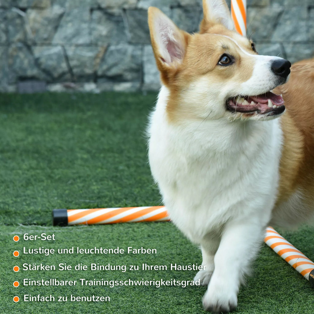 Agility rinkinys šunims, 6 vnt. Agility įrangos rinkinys su pinti strypais, švilpuku, šunų dresavimo reikmenimis ir nešimo krepšiu, skirtas parkui, sodui, oranžinės spalvos.