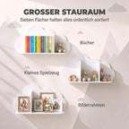 Schema, rodanti debesėlio lentynų panaudojimą knygoms, žaislams ir nuotraukoms