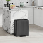 Šiukšliadėžė su pedalu, rūšiavimo sistema 2 x 20 l, juoda