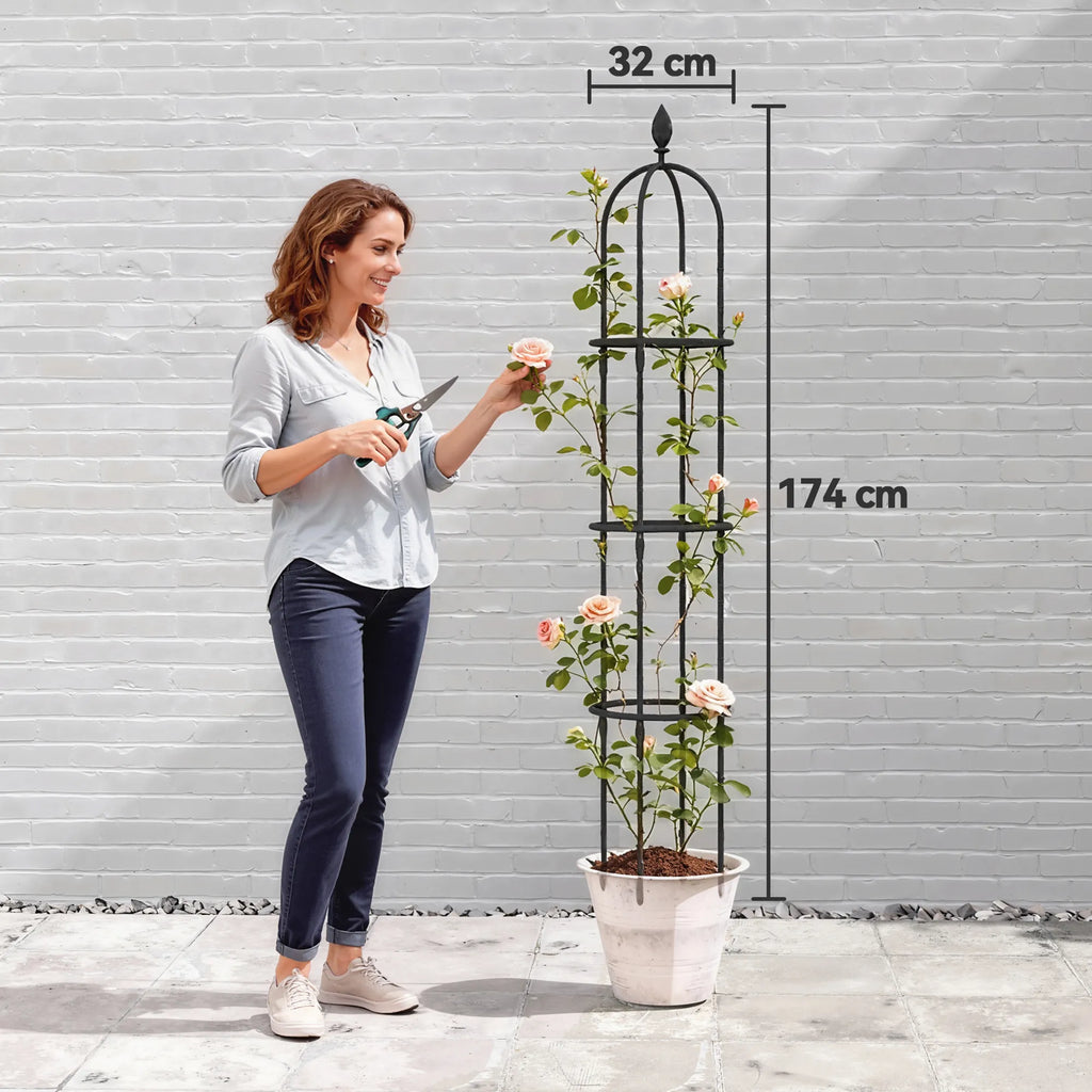 Sodo atrama vijokliniams augalams, augalų atrama, plienas, 174 cm aukščio (2 vienetai), juoda