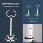 Steperis su LCD ekranu ir reguliuojama rankena, iki 100 kg, baltas/pilkas