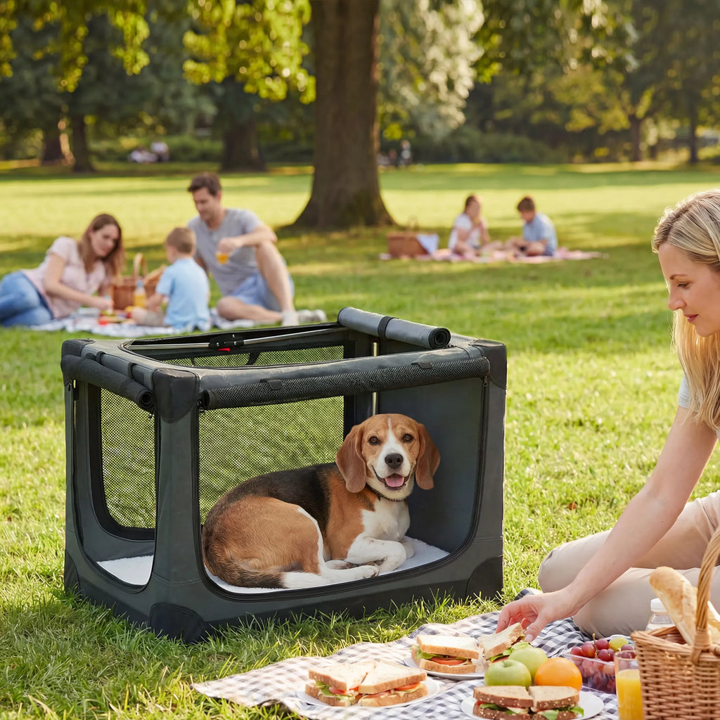 Sulankstoma šunų transportavimo dėžė, iki 20 kg, 76x54x54 cm, žalia