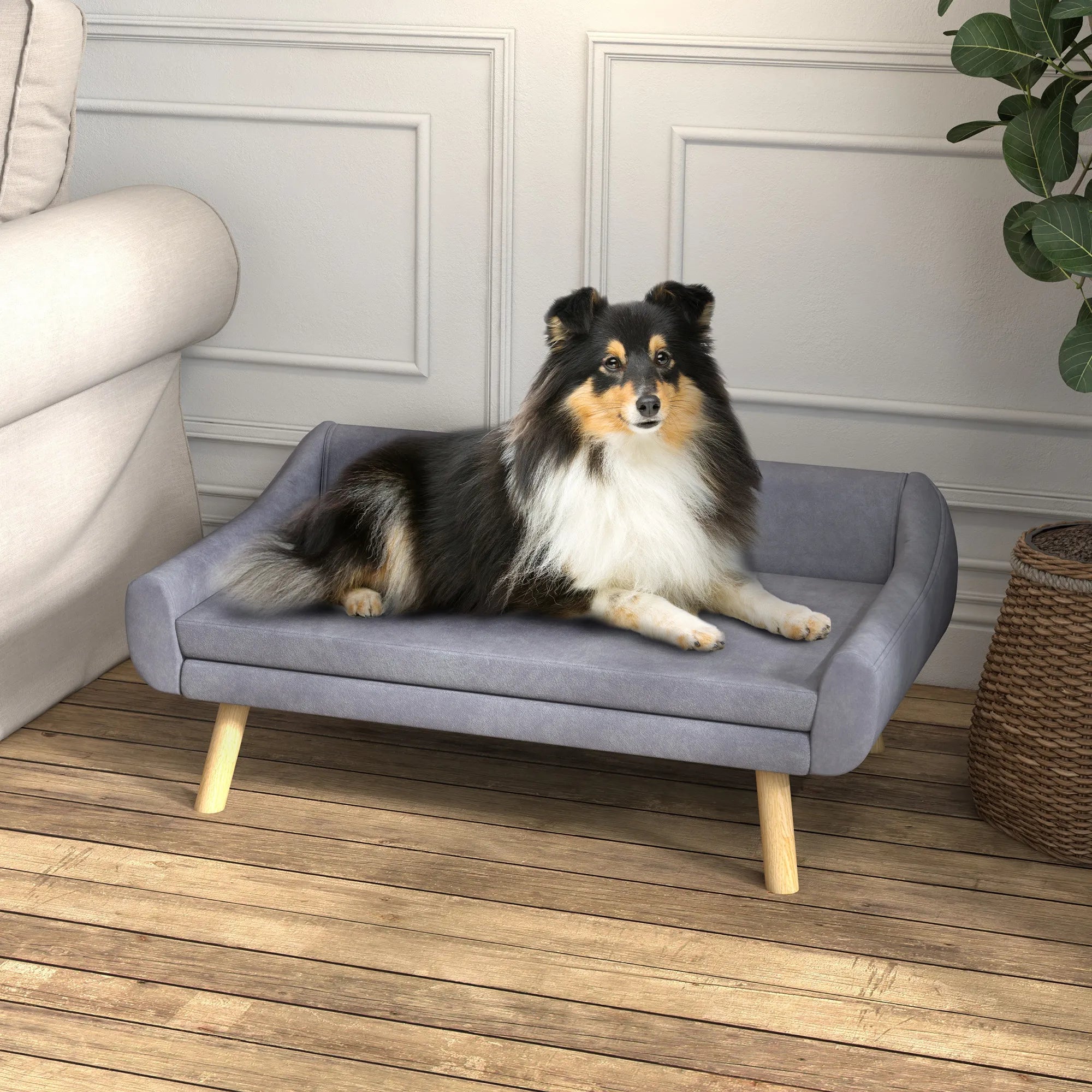 Šuns guolis sofa, su nuimama pagalve, veliūrinis, pilkas