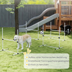 Šunų agility rinkinys, reguliuojamo aukščio, 4 vnt., baltas