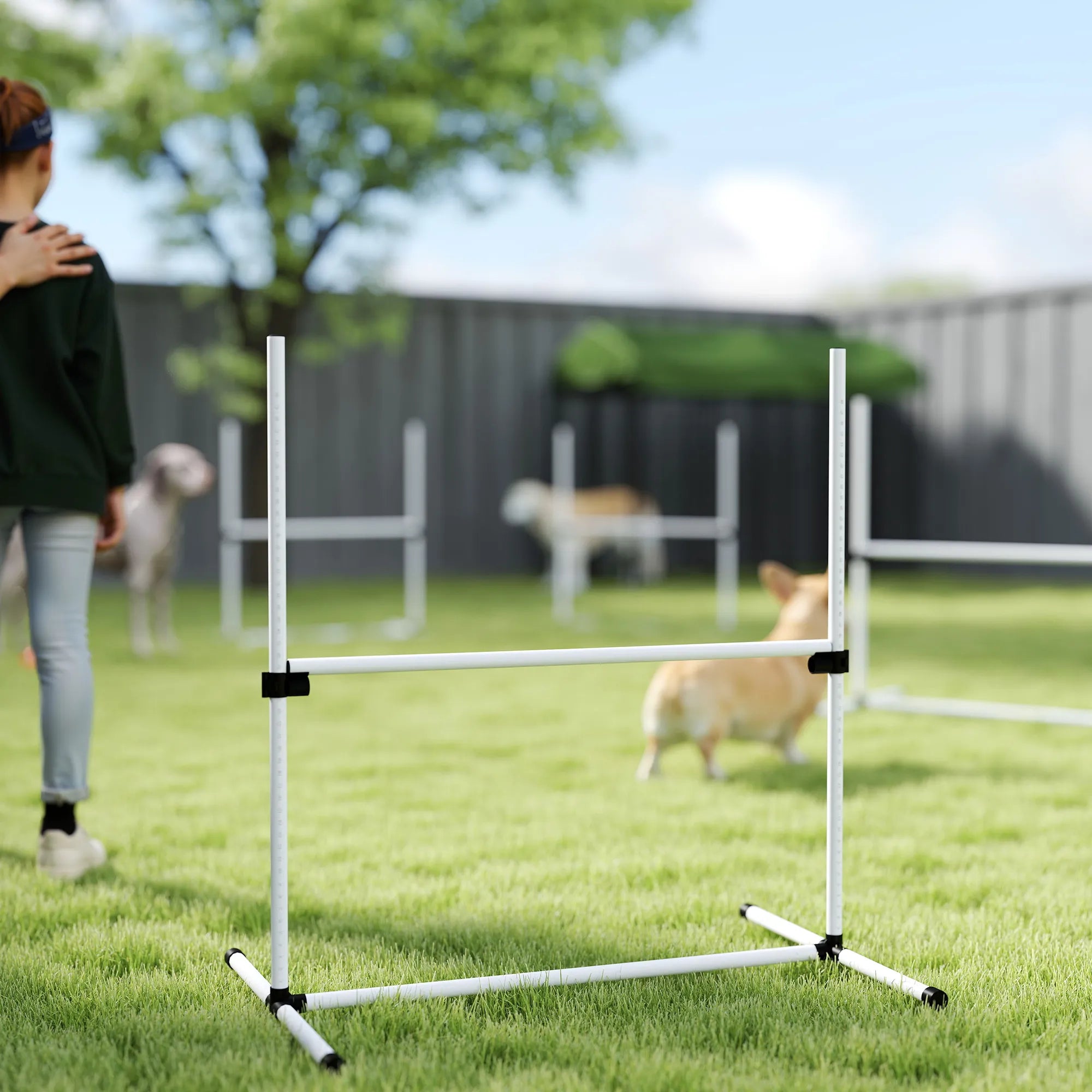 Šunų agility rinkinys, reguliuojamo aukščio, 4 vnt., baltas