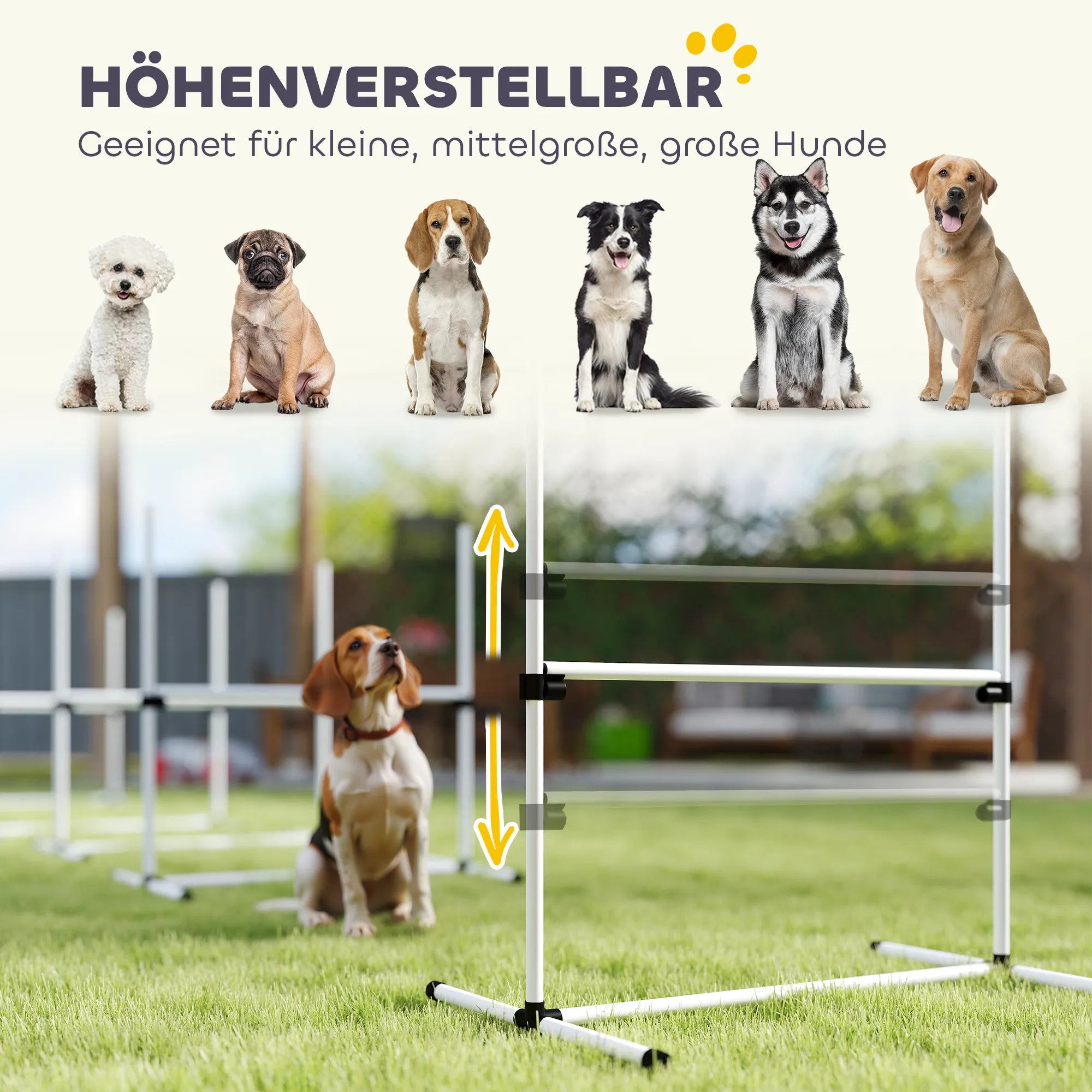Šunų agility rinkinys, reguliuojamo aukščio, 4 vnt., baltas
