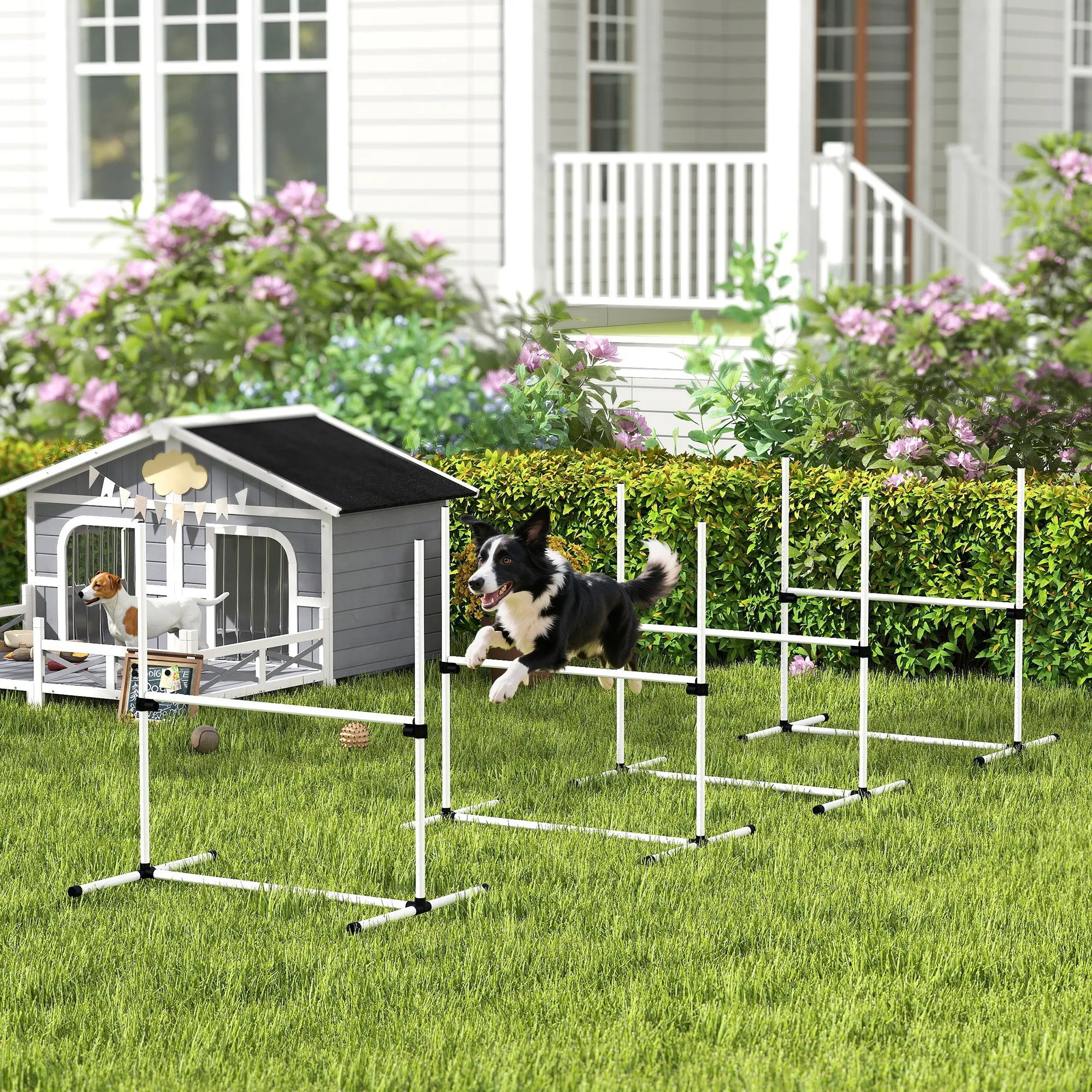 Šunų agility rinkinys, reguliuojamo aukščio, 4 vnt., baltas
