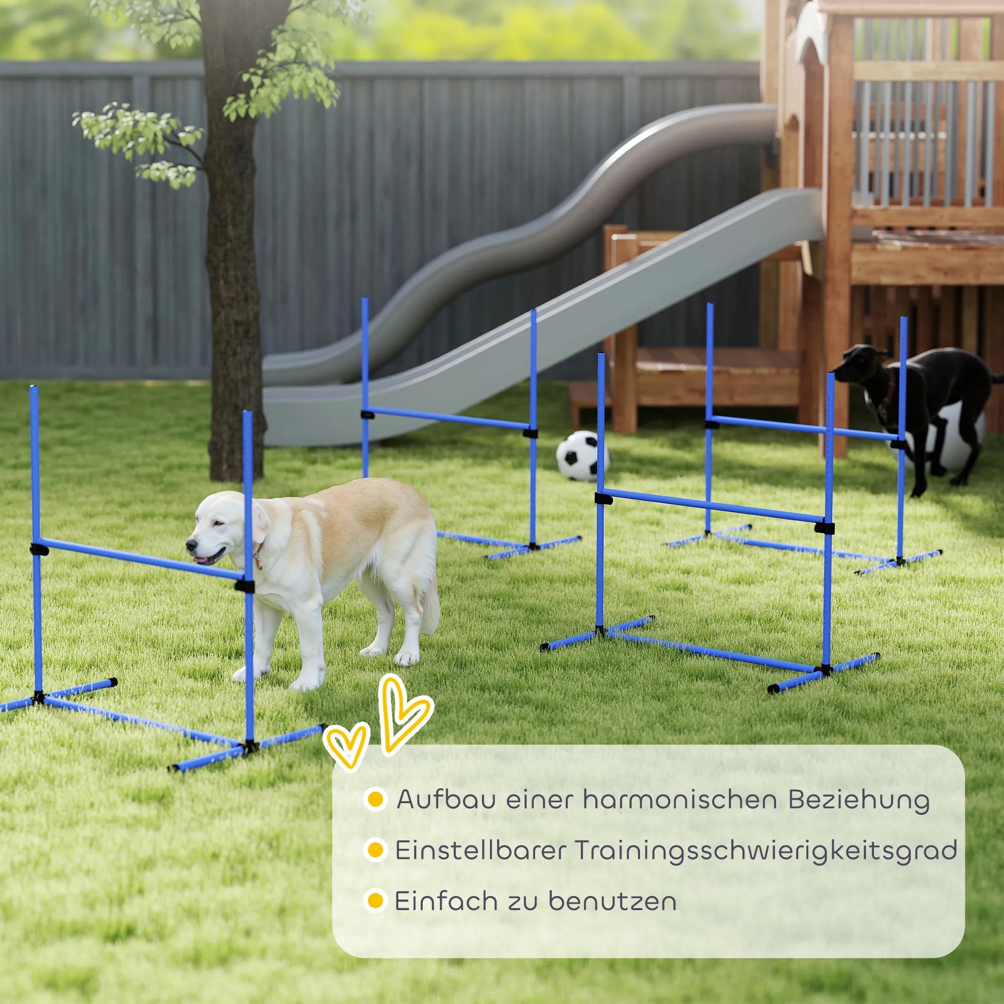 Šunų agility rinkinys, reguliuojamo aukščio, 4 vnt., mėlynas
