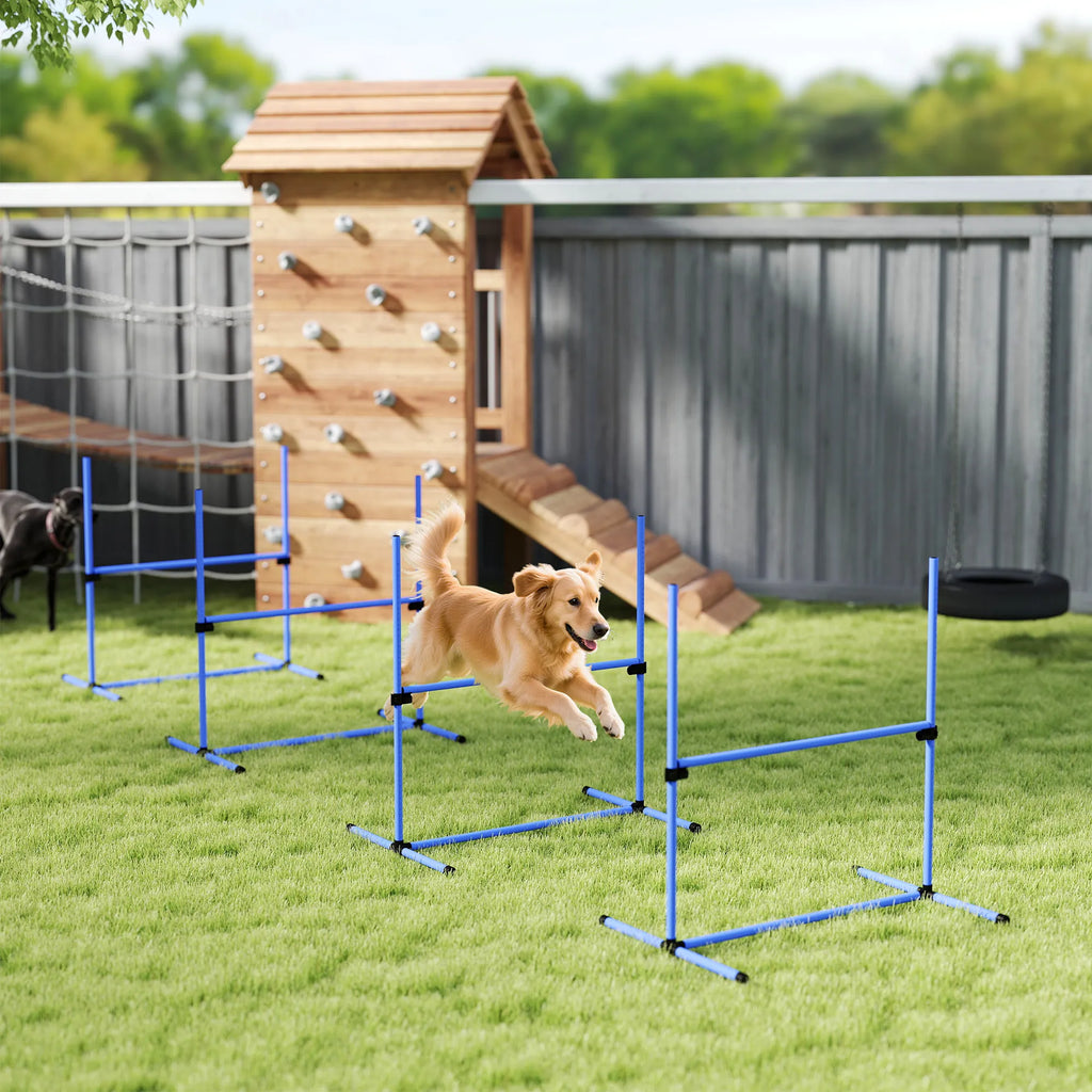 Šuo šokinėja per agility kliūtis kieme prie medinio žaidimų komplekso