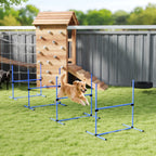 Šuo šokinėja per agility kliūtis kieme prie medinio žaidimų komplekso