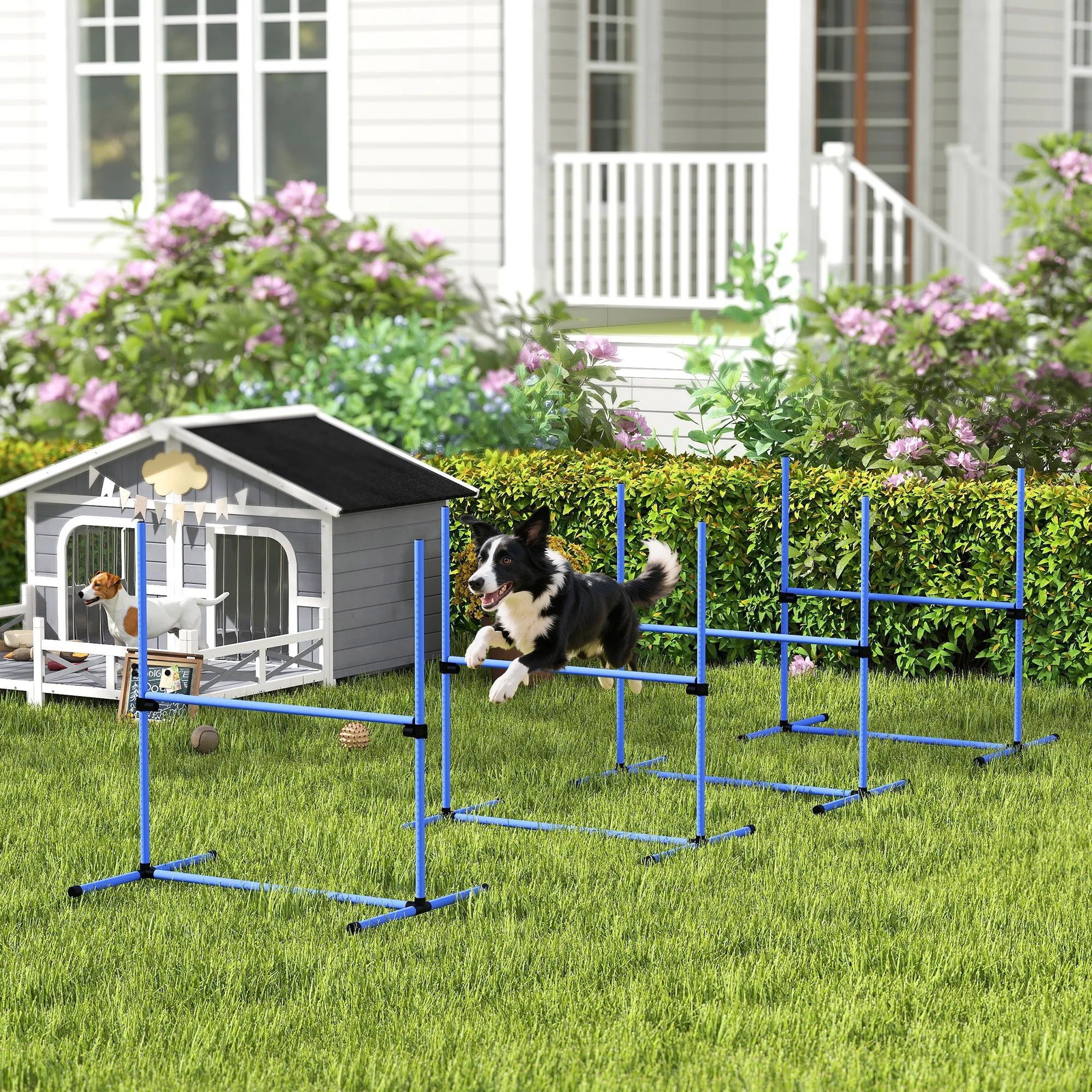 Šunų agility rinkinys, reguliuojamo aukščio, 4 vnt., mėlynas