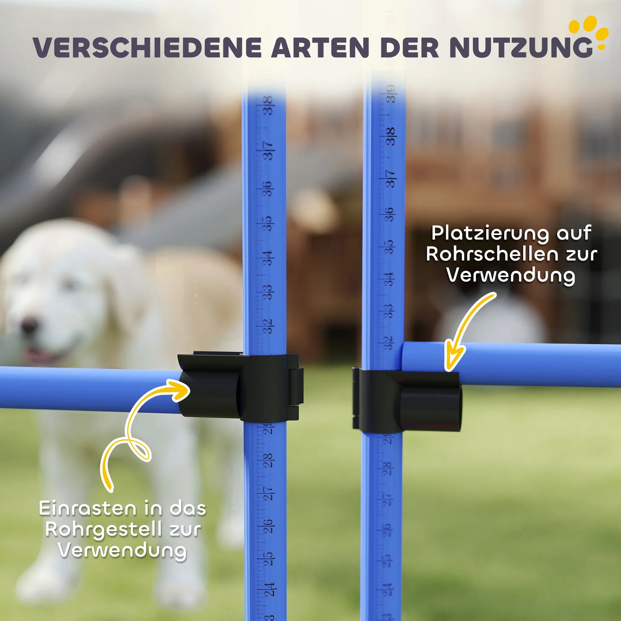 Šunų agility rinkinys, reguliuojamo aukščio, 4 vnt., mėlynas