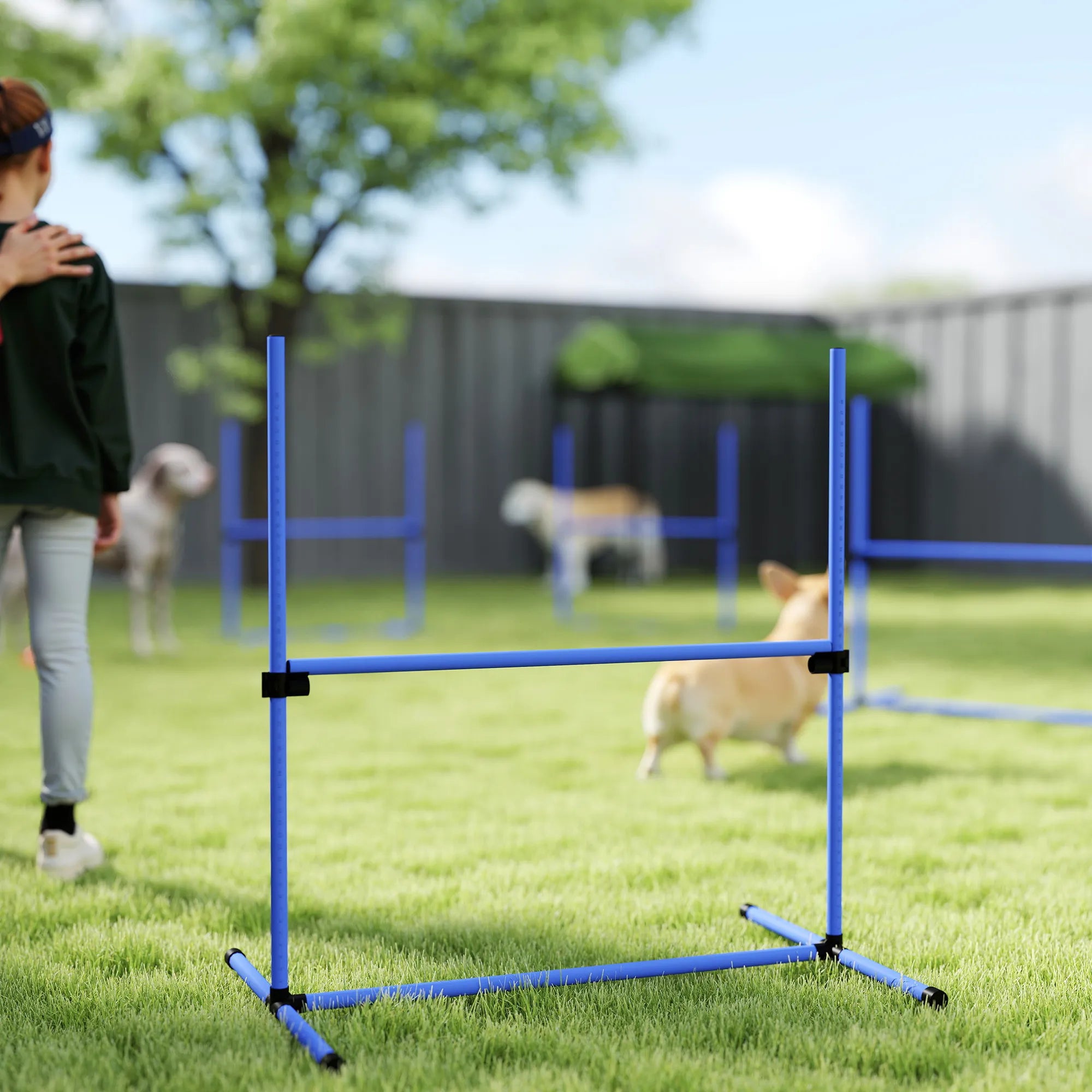 Šunų agility rinkinys, reguliuojamo aukščio, 4 vnt., mėlynas