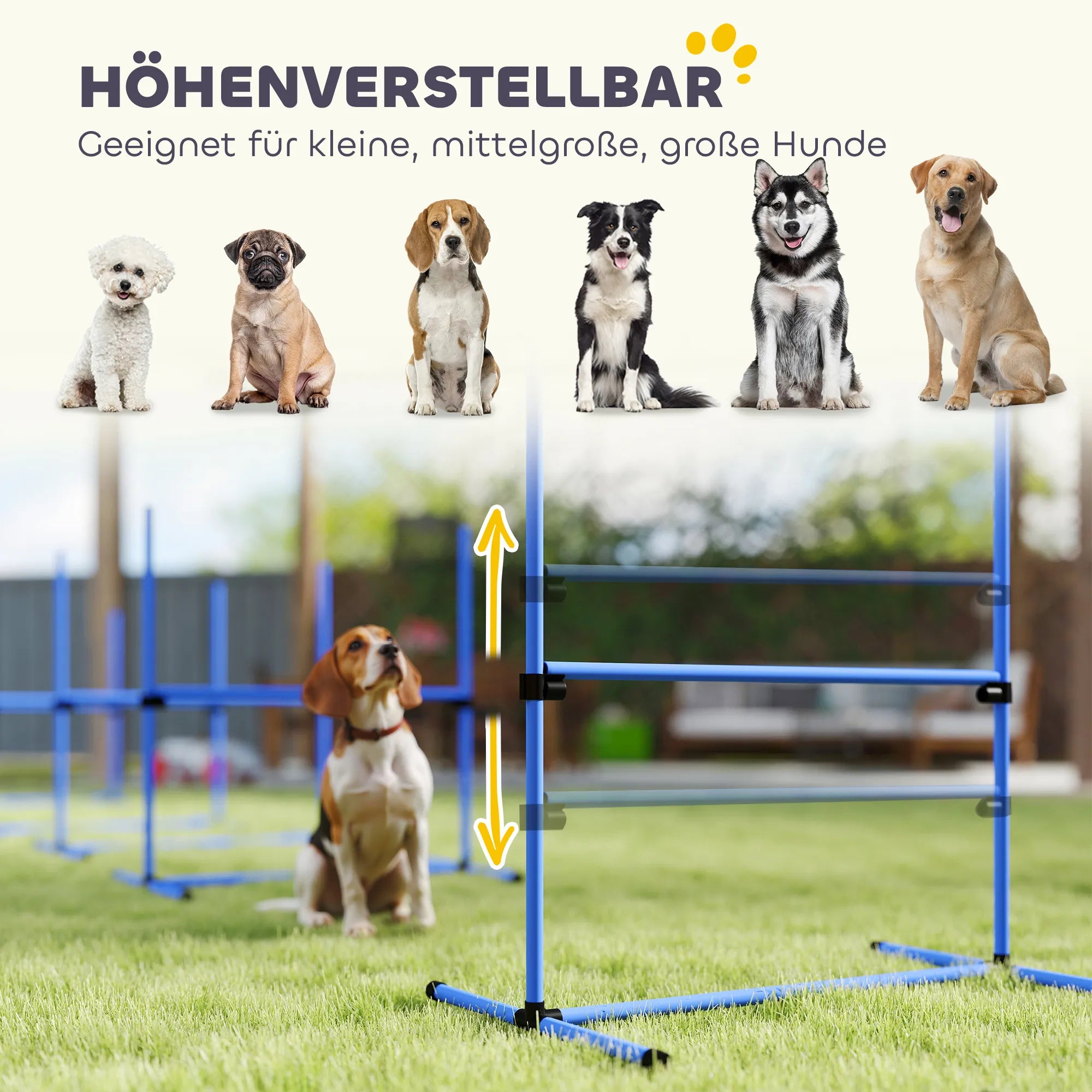 Šunų agility rinkinys, reguliuojamo aukščio, 4 vnt., mėlynas