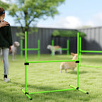 Šunų agility rinkinys reguliuojamo aukščio sporto įranga 99 x 65 x 94 cm žalias