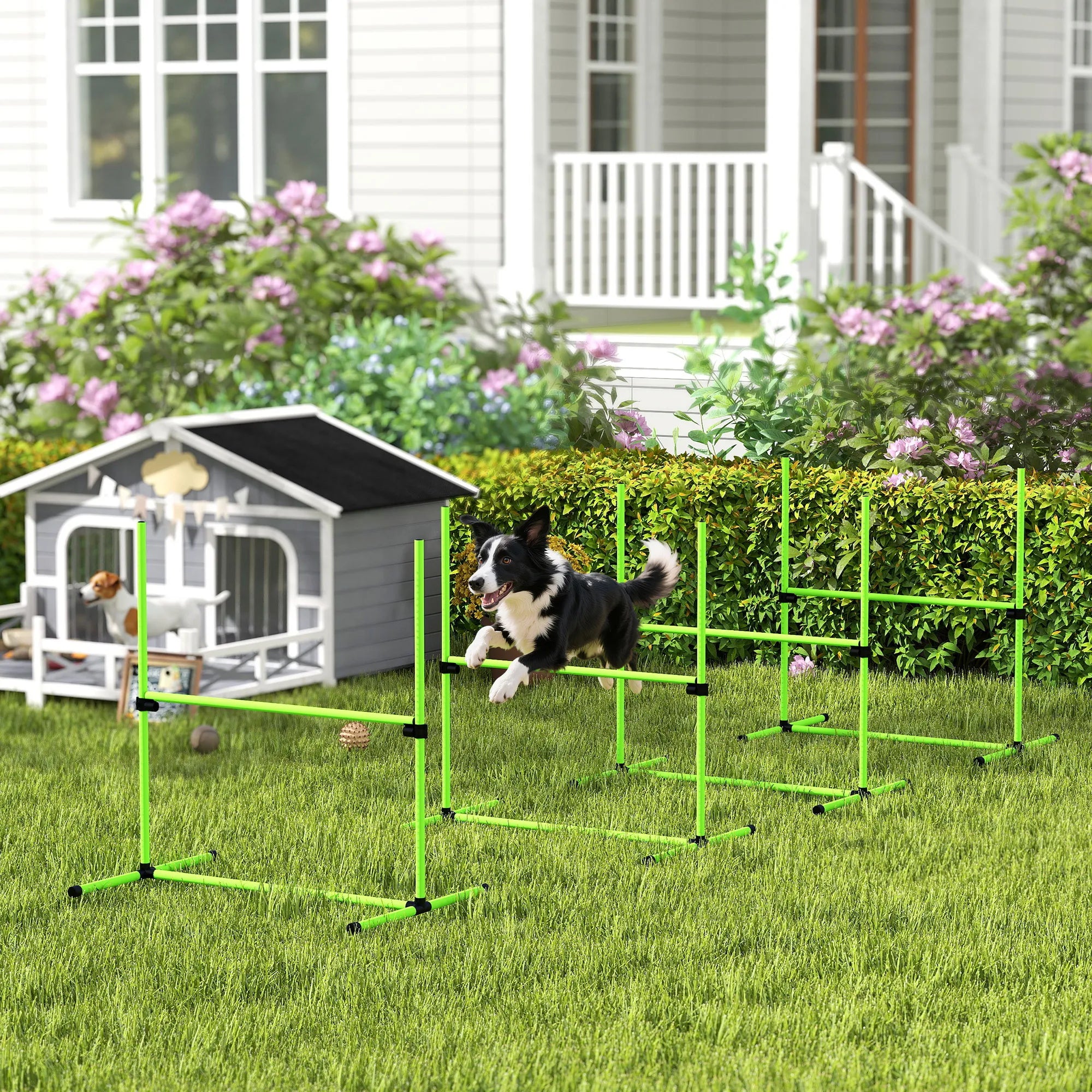 Šunų agility rinkinys reguliuojamo aukščio sporto įranga 99 x 65 x 94 cm žalias