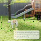 Šunų agility rinkinys reguliuojamo aukščio sporto įranga 99 x 65 x 94 cm žalias