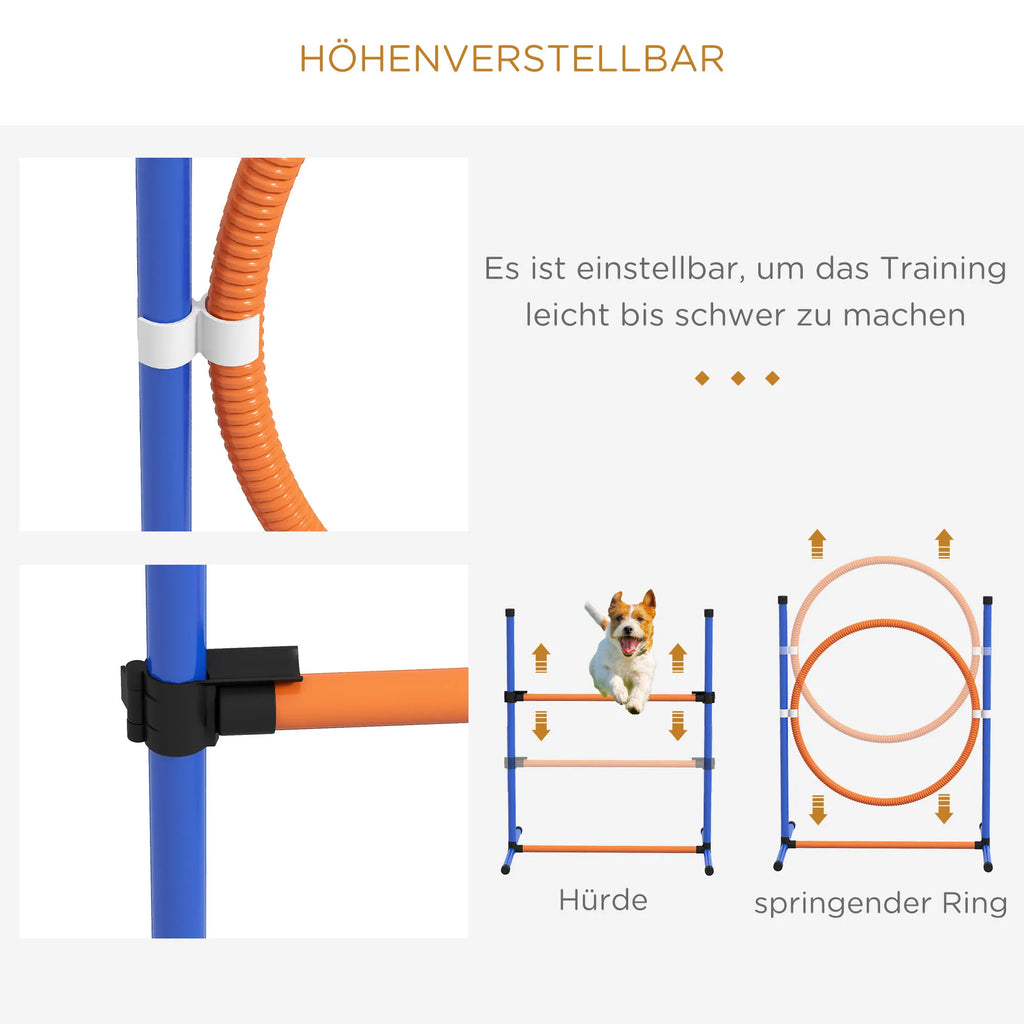 Šunų agility rinkinys su kliūtimis, 352 cm, mėlynas/raudonas