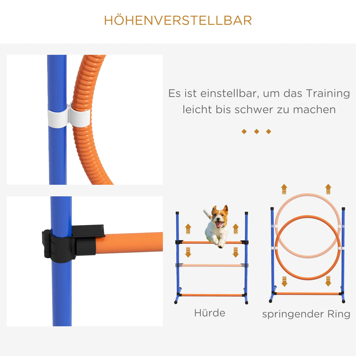 Šunų agility rinkinys su kliūtimis, 352 cm, mėlynas/raudonas
