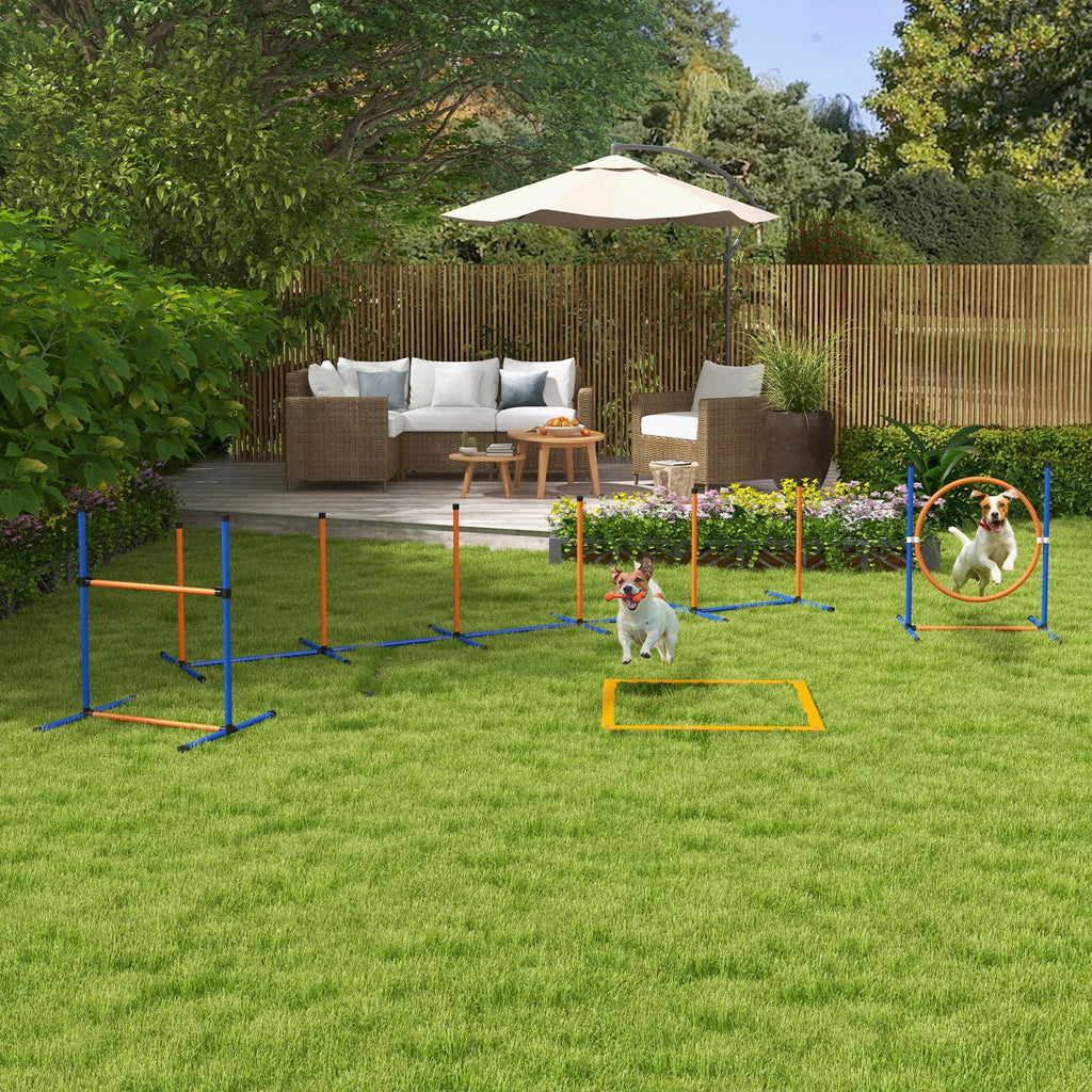 Šunų agility rinkinys su kliūtimis, 352 cm, mėlynas/raudonas