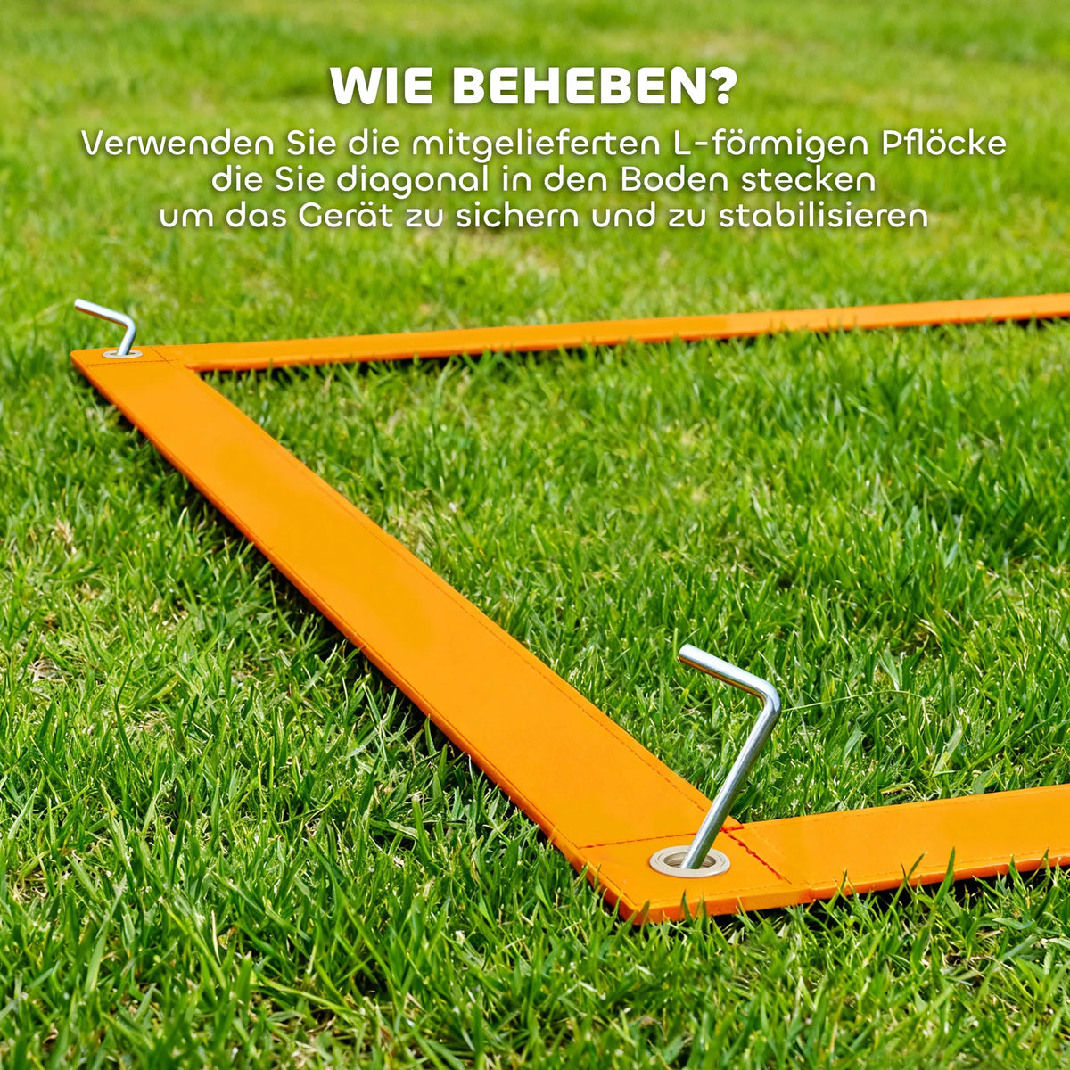 Šunų agility rinkinys su kliūtimis, 352 cm, mėlynas/raudonas