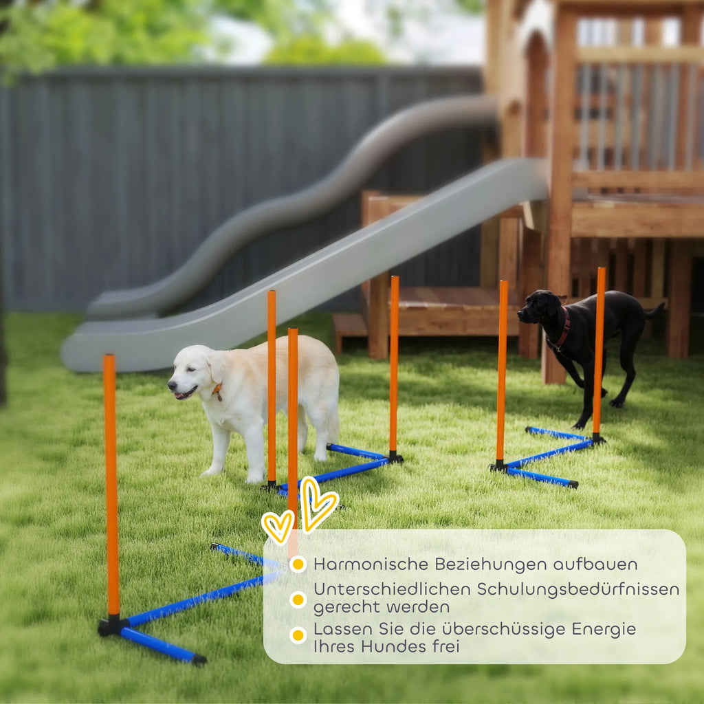 Šunų dresūros rinkinys 3 dalių kliūčių ruožas su slalomo stulpais ir krepšiu oranžinis
