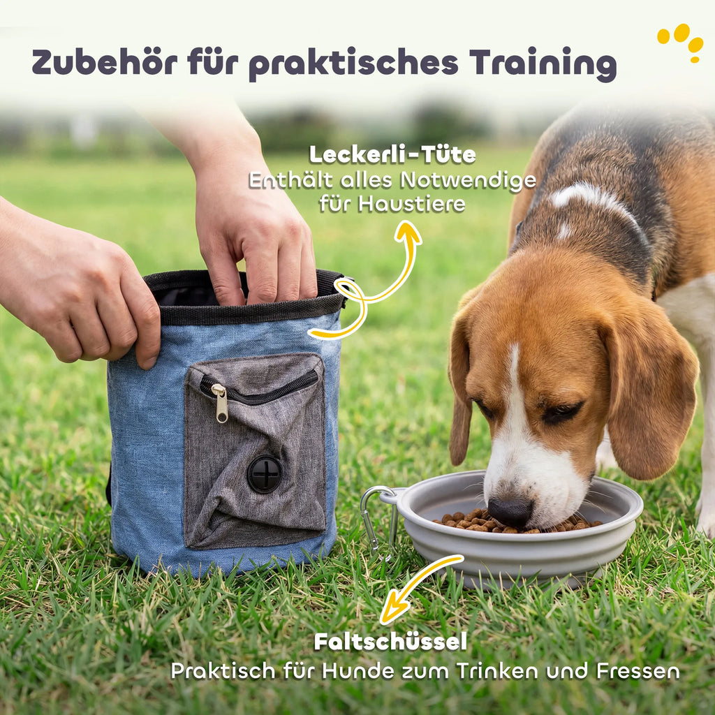 Šunų dresūros rinkinys Agility 11 dalių su tuneliais ir kliūtimis