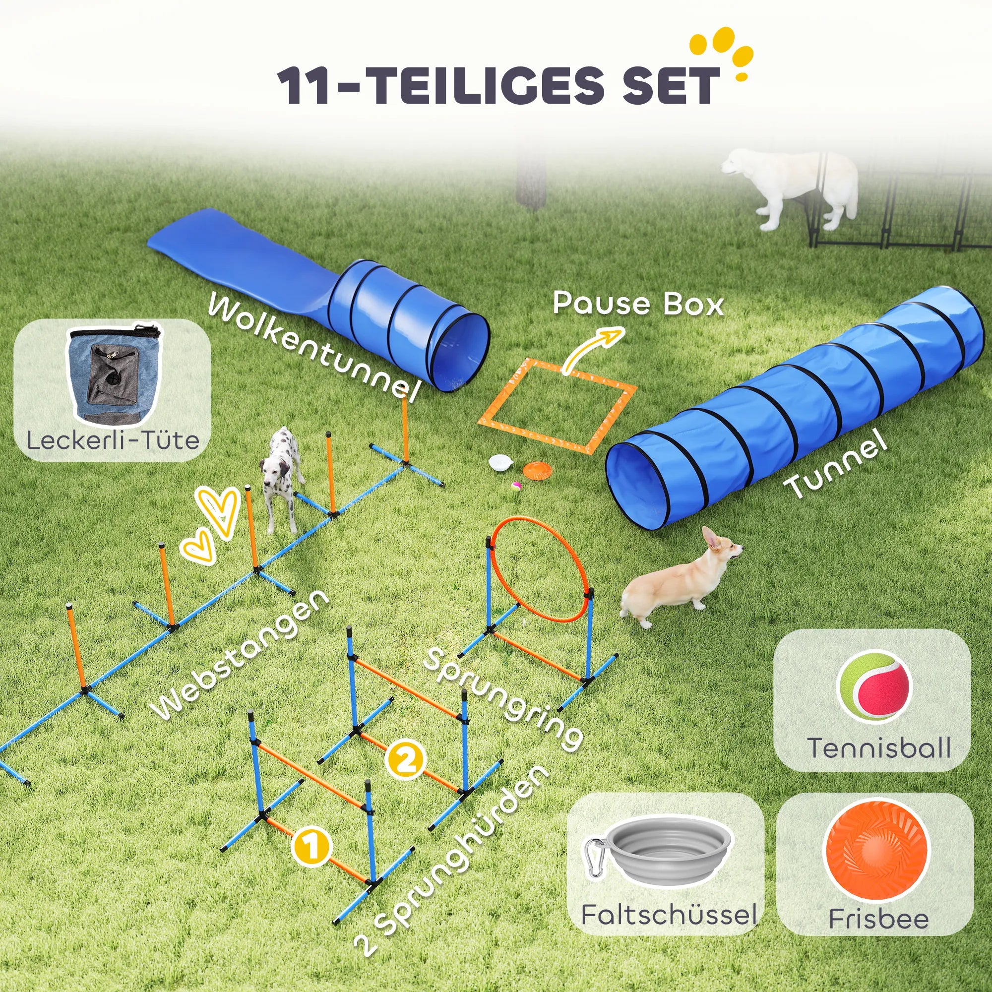 Šunų dresūros rinkinys Agility 11 dalių su tuneliais ir kliūtimis